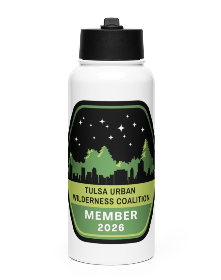 Stainless steel water bottle with a straw lid